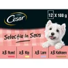 Cesar Maaltijdzakjes Multipack Selection In Saus - Hondenvoer - 12x100 g 12 stuks