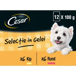 Cesar Maaltijdzakjes Multipack Adult In Gelei - Hondenvoer - 12 stuks