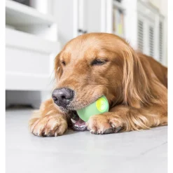 Cheerble Wicked Smart Ball - Zelfrollend - Hondenspeelgoed - Groen 2