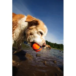 Chuckit Ultra Ball - Hondenspeelgoed - Ø7.6 cm Oranje Blauw