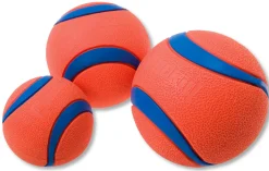 Chuckit Ultra Ball - Hondenspeelgoed - Ø10 cm Oranje Blauw Xxl