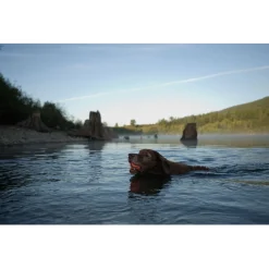 Chuckit Ultra Ball S 2 Pack - Hondenspeelgoed - Ø5 cm Oranje Blauw Small