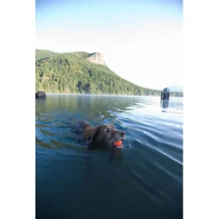 Chuckit Ultra Ball S 2 Pack - Hondenspeelgoed - Ø5 cm Oranje Blauw Small