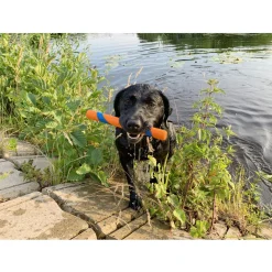 Chuckit Ultra Fetch Stick - Hondenspeelgoed - 28 cm Oranje Blauw