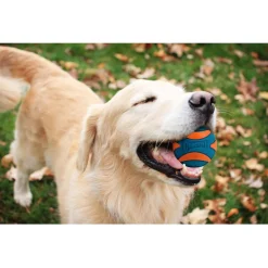 Chuckit Ultra Squeaker Ball - Hondenspeelgoed - Ø7.6 cm Blauw Oranje L