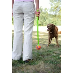 Chuckit Ultra Squeaker Ball - Hondenspeelgoed - Ø5 cm Blauw Oranje S