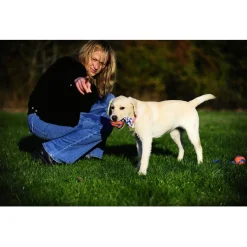 Chuckit Ultra Toss Oranje&Blauw&Wit - Hondenspeelgoed