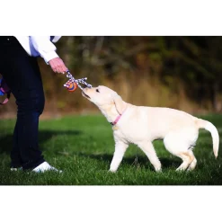 Chuckit Ultra Toss Oranje&Blauw&Wit - Hondenspeelgoed