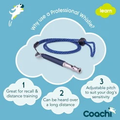 Coachi Professional Whistle Hondenfluit - Hondenopvoeding - Navy Zilver