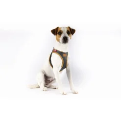 Curli Apple Leather Harness - Hondentuig