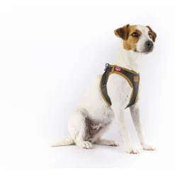 Curli Apple Leather Harness - Hondentuig