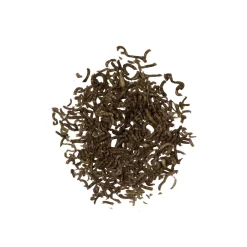 Darwin Rode Muggenlarven - Vissenvoer - 100 ml