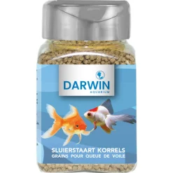 Darwin Sluierstaart Korrels - Vissenvoer