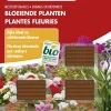 Dcm Meststofstaaf Bloeiende Plant - Siertuinmeststoffen - 25 stuks