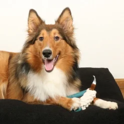 D&D Milan Lagoon - Hondenspeelgoed - 16.5x16.5 cm Blauw