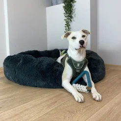 D&D Milan Lagoon - Hondenspeelgoed - 16.5x16.5 cm Blauw