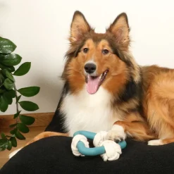 D&D Milou Lagoon - Hondenspeelgoed - 17 cm Blauw