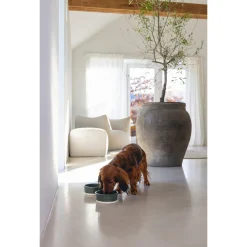 Designed By Lotte Hondenvoerbak Joa Groen - Hondenvoerbak