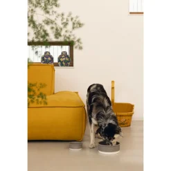 Designed By Lotte Hondenvoerbak Joa Grijs - Hondenvoerbak