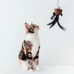 District 70 Bait Kattenhengel - Kattenspeelgoed - 55x40x18 cm Zwart