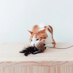 District 70 Bait Kattenhengel - Kattenspeelgoed - 55x40x18 cm Zwart