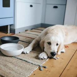 District 70 Bamboe Voerbak Beige - Hondenvoerbak