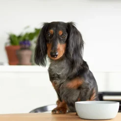 District 70 Bamboe Voerbak Beige - Hondenvoerbak