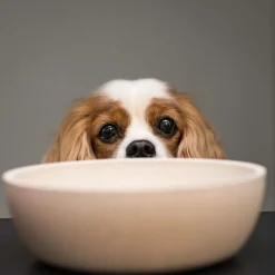 District 70 Bamboe Voerbak Beige - Hondenvoerbak