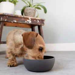 District 70 Bamboe Voerbak Donkergrijs - Hondenvoerbak