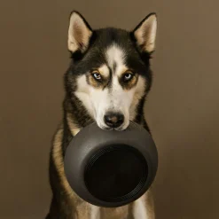 District 70 Bamboe Voerbak Donkergrijs - Hondenvoerbak