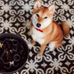 District 70 Bamboo Slowfeeder Donkergrijs - Hondenvoerbak