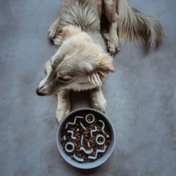 District 70 Bamboo Slowfeeder Lichtblauw - Hondenvoerbak