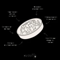 District 70 Bamboo Slowfeeder Beige - Hondenvoerbak