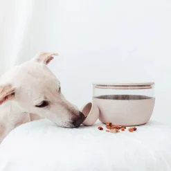 District 70 Bamboo Voorraadpot Met Antislipbodem - Hondenvoerbewaarbak - Ø18 cm 2250 ml Beige