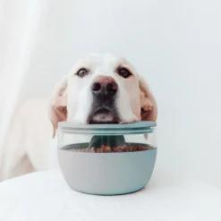 District 70 Bamboo Voorraadpot Met Antislipbodem - Hondenvoerbewaarbak - Ø18 cm 2250 ml Lichtblauw