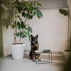 District 70 Butler Zwart - Hondenvoerbak