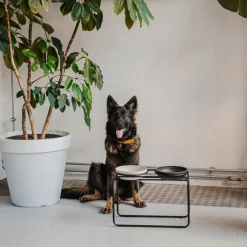 District 70 Butler Zwart - Hondenvoerbak