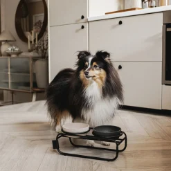 District 70 Butler Zwart - Hondenvoerbak