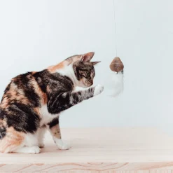 District 70 Kattenhengel Smash - Kattenspeelgoed -