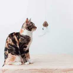 District 70 Kattenhengel Smash - Kattenspeelgoed -