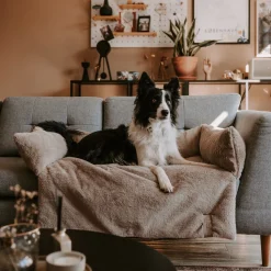 District 70 Nuzzle Sofa Bed Taupe - Hondenbank