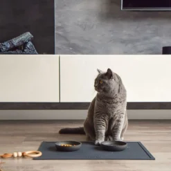 District 70 Placemat Siliconen 50x35 cm - Hondenvoerbak