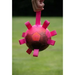 Dog Comets Hypernova Ø15 cm - Hondenspeelgoed