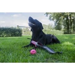 Dog Comets Star Shooter 58 cm - Hondenspeelgoed