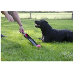 Dog Comets Star Shooter 58 cm - Hondenspeelgoed