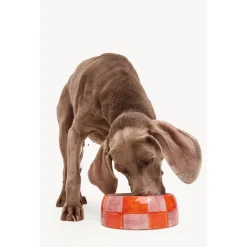 Dogguo Block Dogbowl Oranje&Pink - Hondenvoerbak
