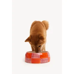 Dogguo Block Dogbowl Oranje&Pink - Hondenvoerbak