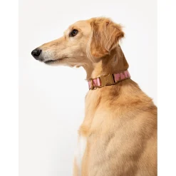 Dogguo Collar - Hondenhalsband - 36-52 cm Mokka Pink M
