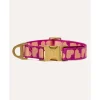 Dogguo Collar - Hondenhalsband - 36-52 cm Magenta Abrikoos M