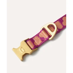 Dogguo Collar - Hondenhalsband - 36-52 cm Magenta Abrikoos M